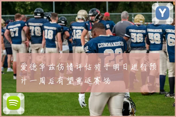 爱德华兹伤情评估将于明日进行预计一周后有望重返赛场