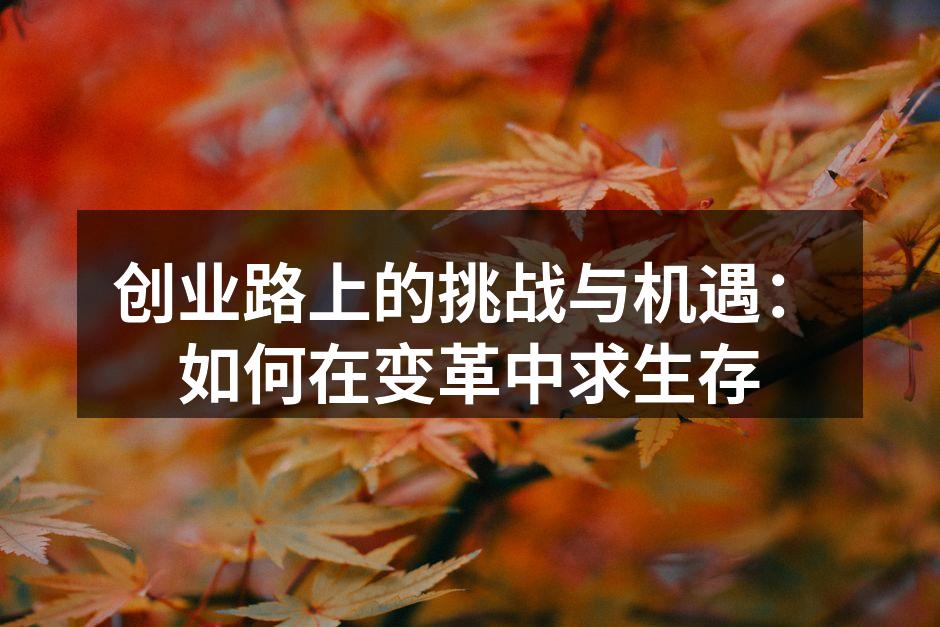 创业路上的挑战与机遇：如何在变革中求生存