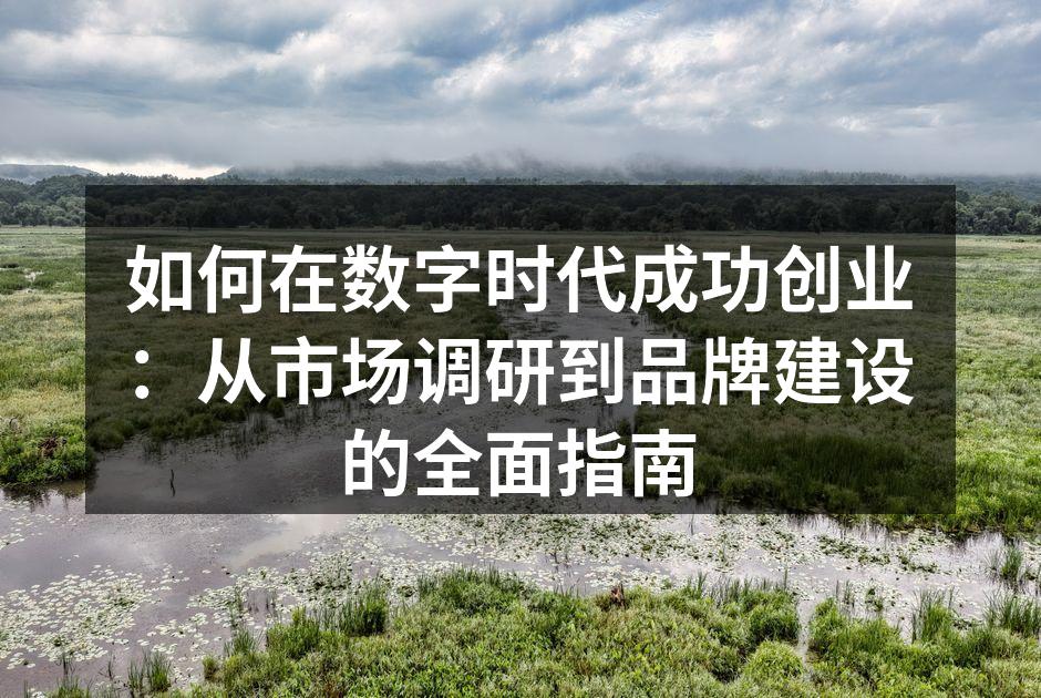 如何在数字时代成功创业：从市场调研到品牌建设的全面指南