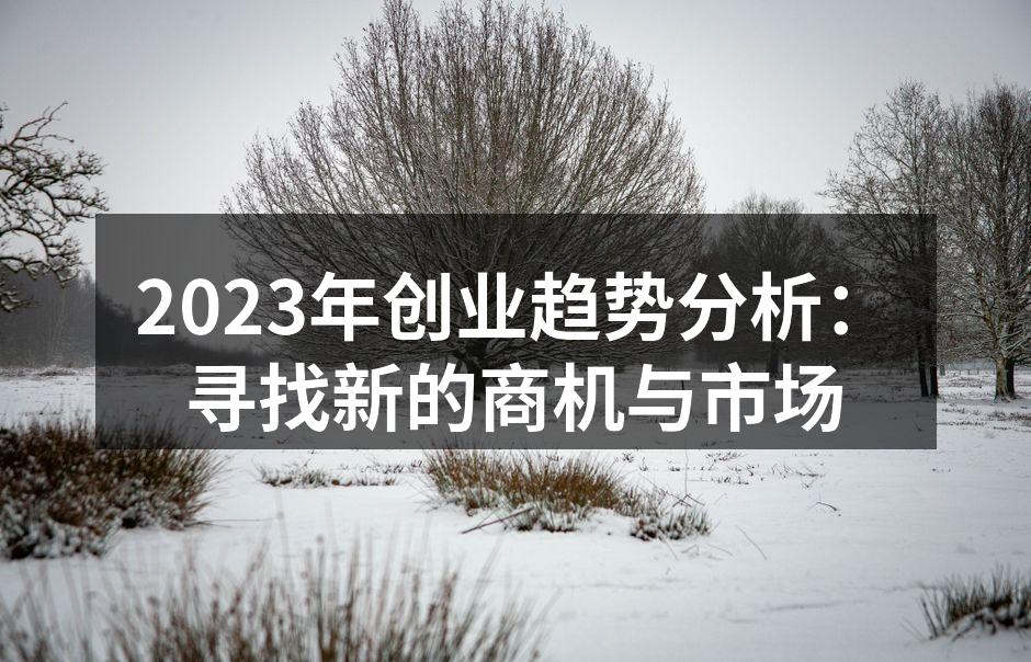 2023年创业趋势分析：寻找新的商机与市场